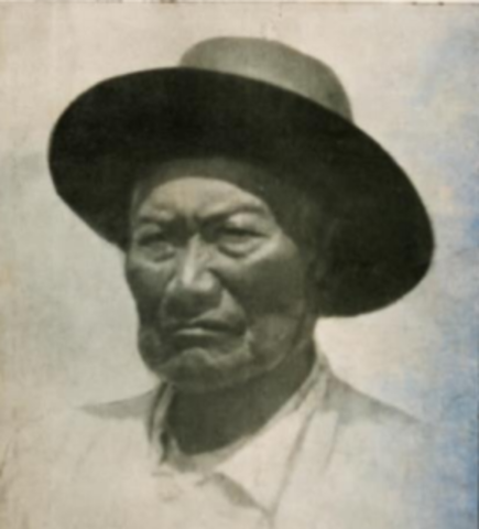 "Cabeza de Indio" P. Bosquetti