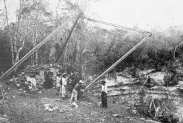 Ley Fomento de La Vida Vegetal