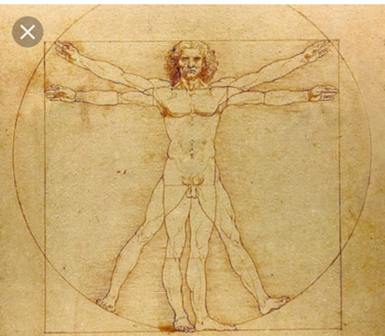 Hombre de vitruvio Leonardo Da Vinci ver Doh da Vinci creó este