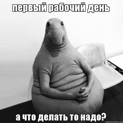 1. Первый рабочий день