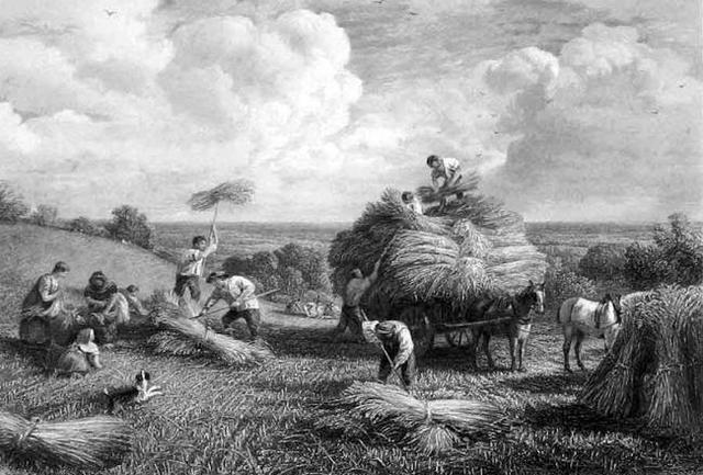 Spread of New Methods of Farming