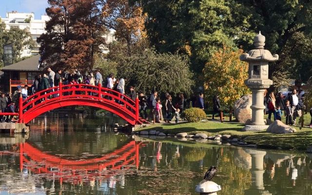 JARDÍN JAPONES