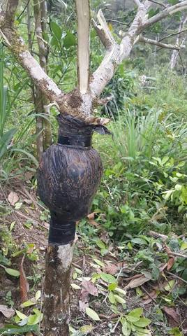 Acodo aereo en naranja.