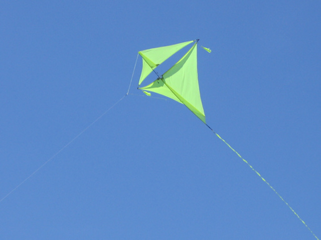 Amir and Sohrab Fly a Kite Together