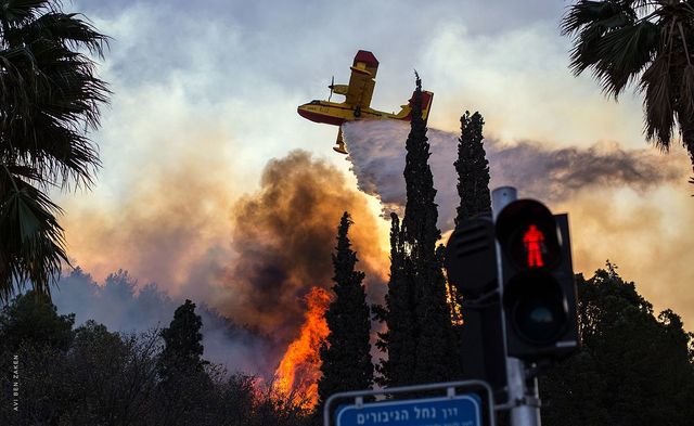 Los incendios en Haifa