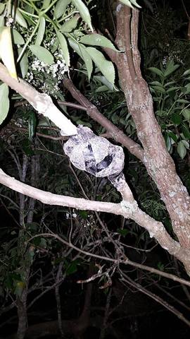 elaboracion de acodos aereos