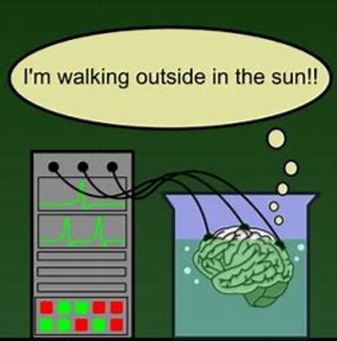 Brain in a vat