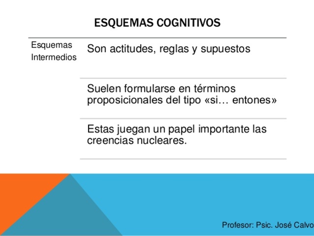 Esquemas cognitivos