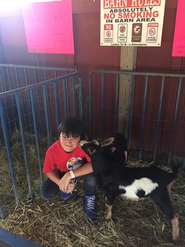 The birth of a sibling