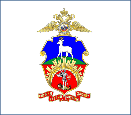 Наша команда и проект