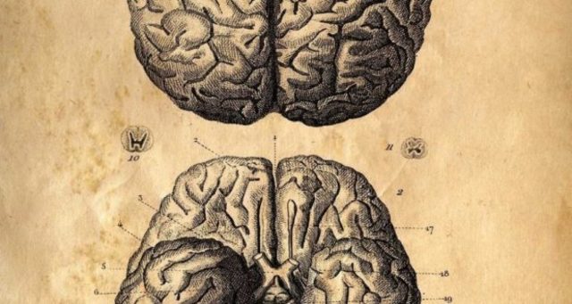 Existencialismo - seres humanos