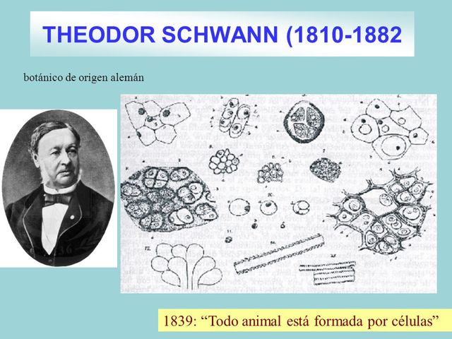 Principales hechos que han influído en la teoría