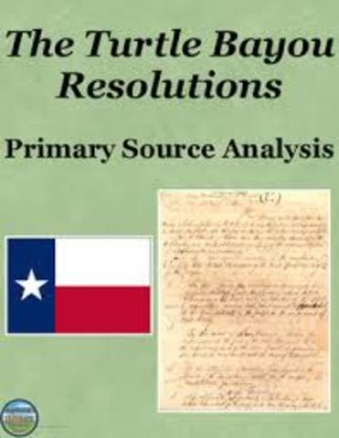 turtle bayou resolutions