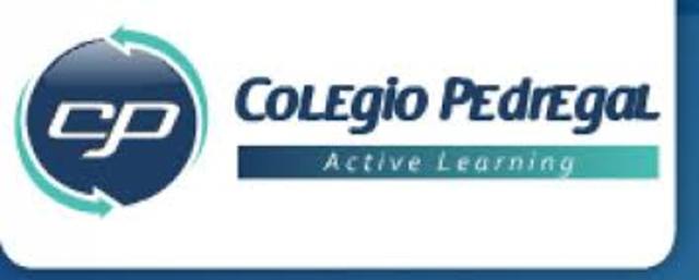 Cuando entré al pedregal