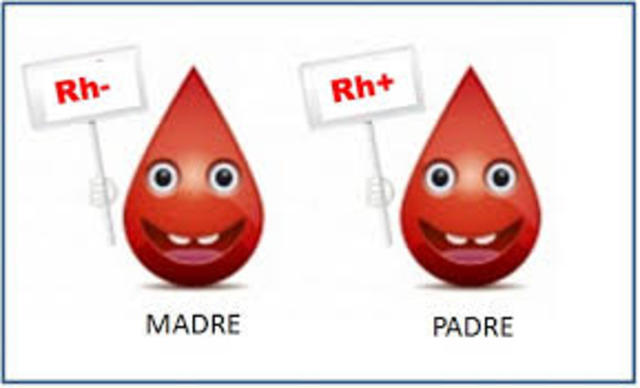 Funcionalismo - descubrimiento del Factor Rh