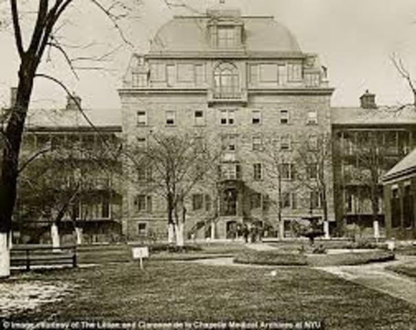 Bellevue Hospital Unit