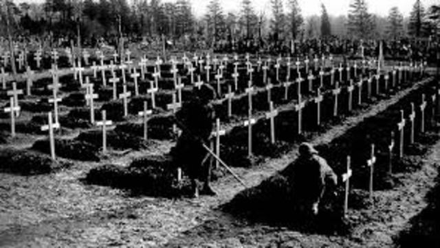 How many soldiers Died in WW1