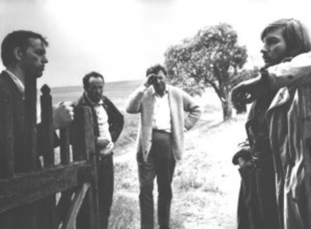 "Laivė" komedija apie kaimo bernioką, išvykusį laimės ieškoti į miestą. Scenarijų rašė Jurgis Linartas ir pagrindinio vaidmens atlikėjas Vladas Sipaitis, režisavo Dunajevas.