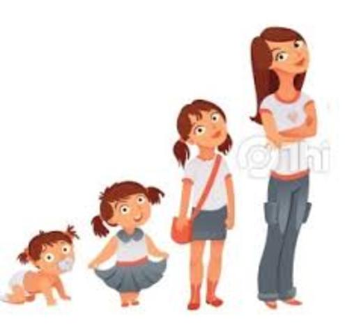 Teoría Psicogenética