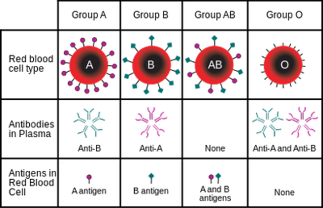 Blood groups