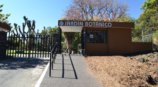 Con una grabación de Alfonso Reyes, realizada poco antes de morir, comenzó la edición de la serie de discos Voz Viva de México. Se funda el Jardín Botánico