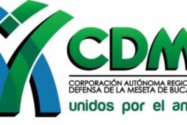 PRESIDENTA RED DE JÓVENES DE AMBIENTE