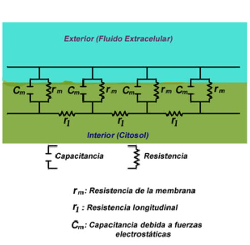 Desarrollo de teoría de la “carga en los cables”