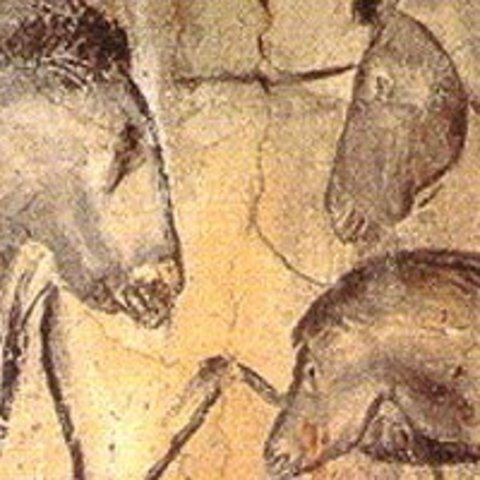 France Cave Art