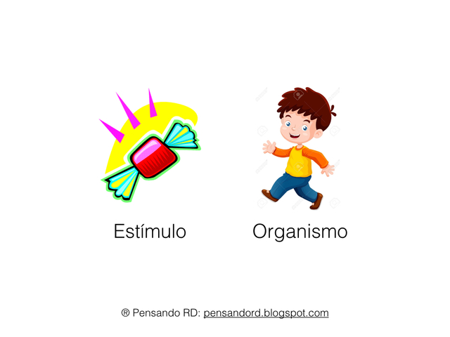 concepto de estimulo según el   conductismo