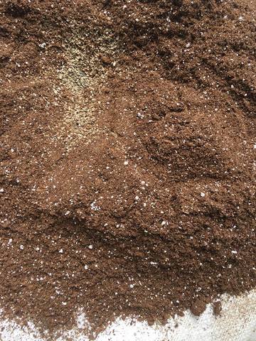 Preparacion de sustrato