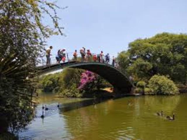 Alguma coisa acontece no meu coração