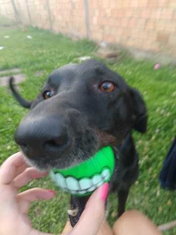 Adoção do nosso Primeiro Filho