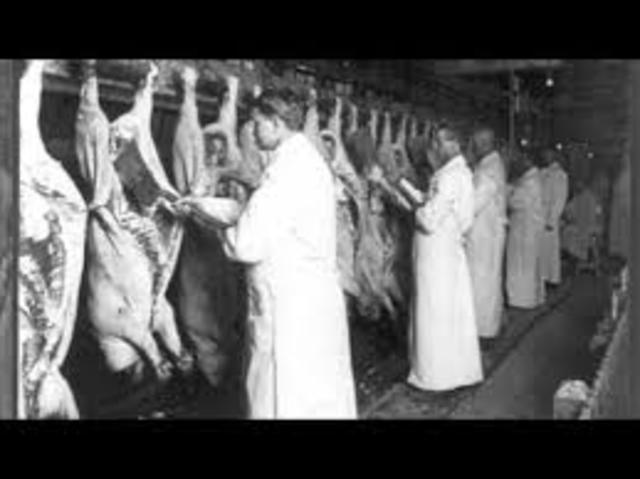 Pure Food & Drug Act and The Meat Inspection Act are passed