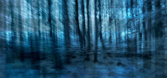 Fotografo, Salvadoreño destacado, Luis Paredes