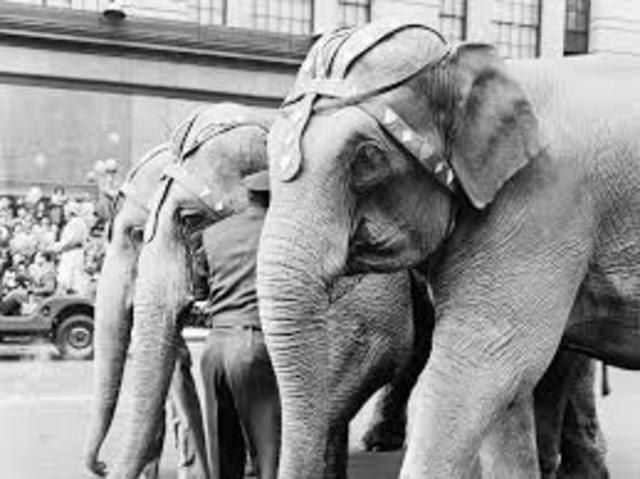 Macy's 1st Thanksgiving Day Parade