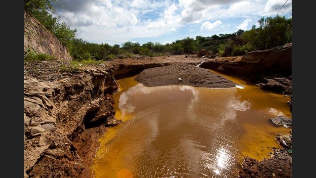 Desastre ecológico en los ríos Bacanuchi y Sonora.