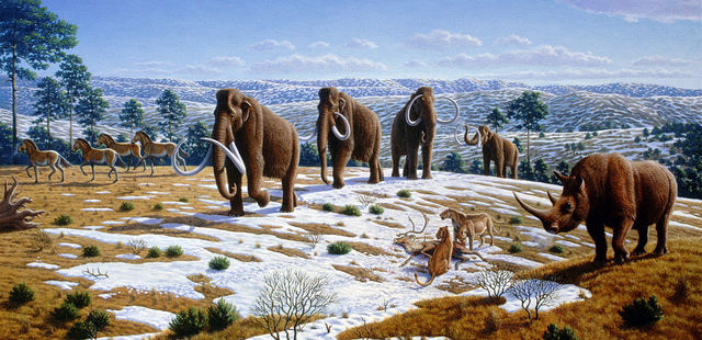 pleistocene epoch