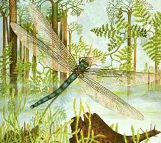 Paleozoic:Mississippian