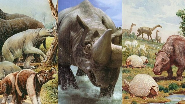 Tertiary;Eocene Epoch