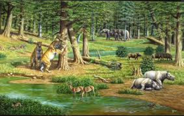 tertiary:paleocene Epoch