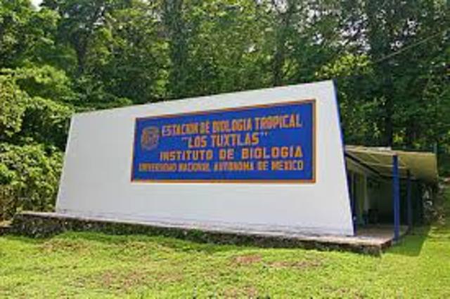 Inauguración y Creación de sistema e instalaciones