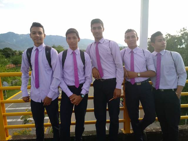 My technique in public accounting