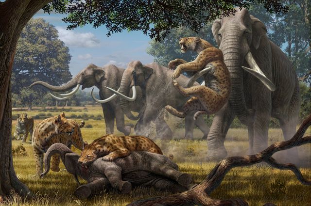 Pleistocene Epoch