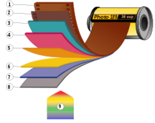 Película fotográfica