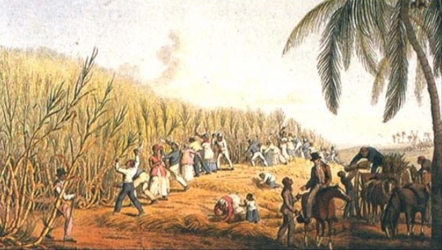 Plantation Duty Act