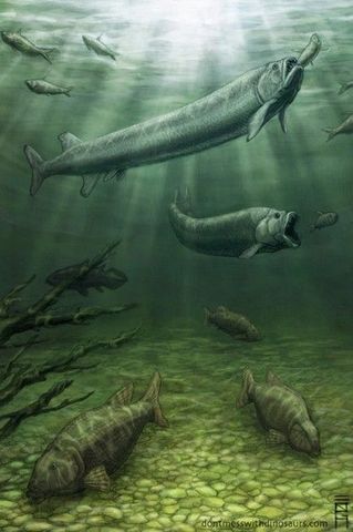 Devonian Period