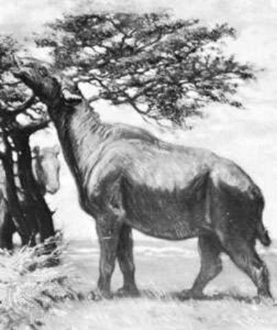 Oligocene Epoch