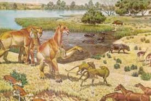 paleocene epoch