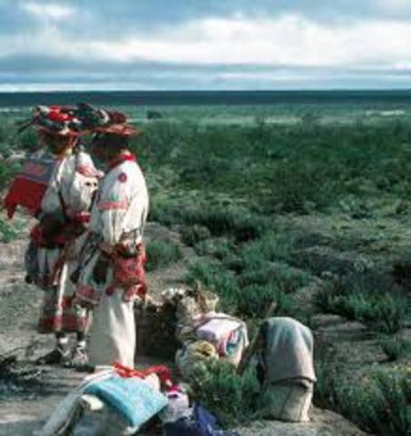 Moviemto salvemos a wirikuta