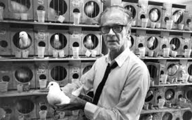 Burrhus F Skinner (1904-1990)